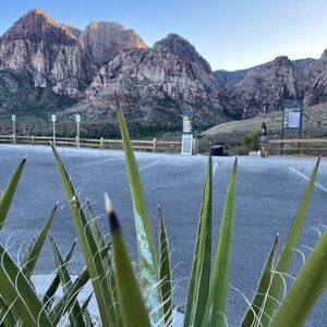 Meet your Posher, Amar